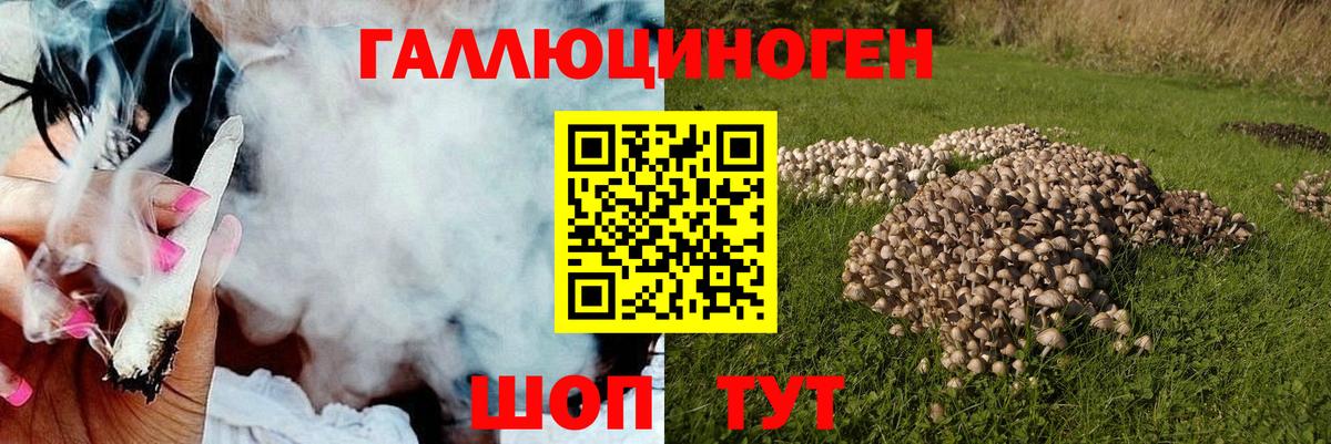 Псилоцибиновые грибы ЛСД  Галлюциногенные грибы прущие грибы  Аша  Вход с VPN 