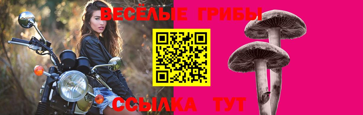Галлюциногенные грибы ЛСД Аша